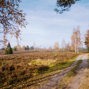 Büsenbachtal in der Lüneburger Heide | © Andreas Bender