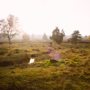 Büsenbachtal in der Lüneburger Heide | © Andreas Bender