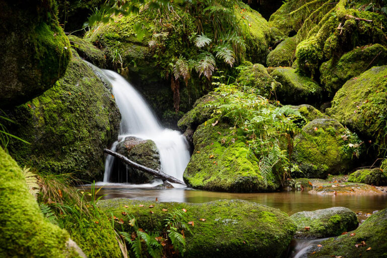 Energien der Welt | © Andreas Bender